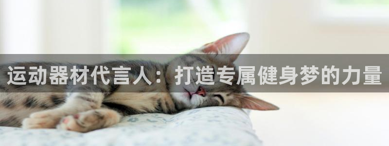 熊猫体育官网下载是干嘛的公司