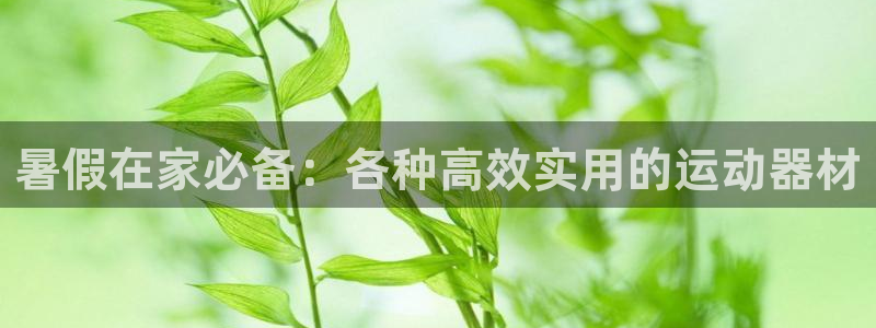 熊猫体育集团官网首页网址：暑假在家必备：各种高效实用的运动器