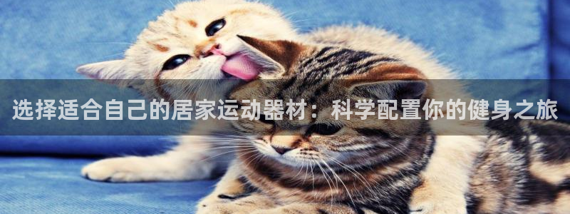 熊猫体育娱乐下载