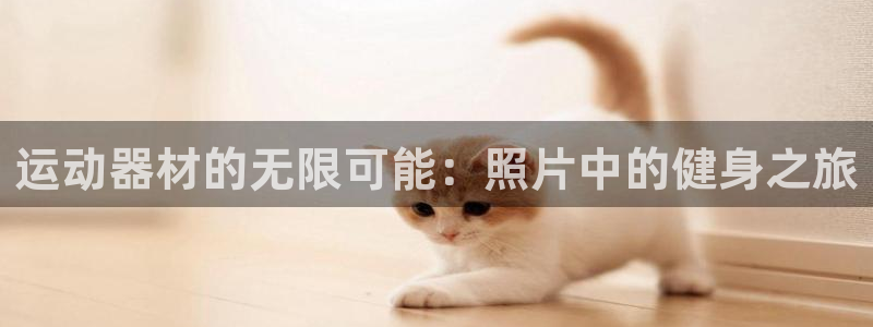 海南熊猫体育官网下载：运动器材的无限可能：照片中的健身之旅