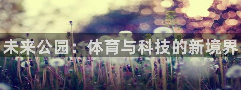 海南熊猫体育官网下载：未来公园：体育与科技的新境界